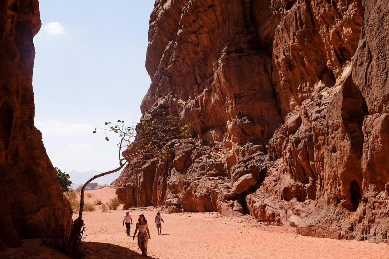 Wadi Rum Bedouin Camp And Desert Tours Exterior foto