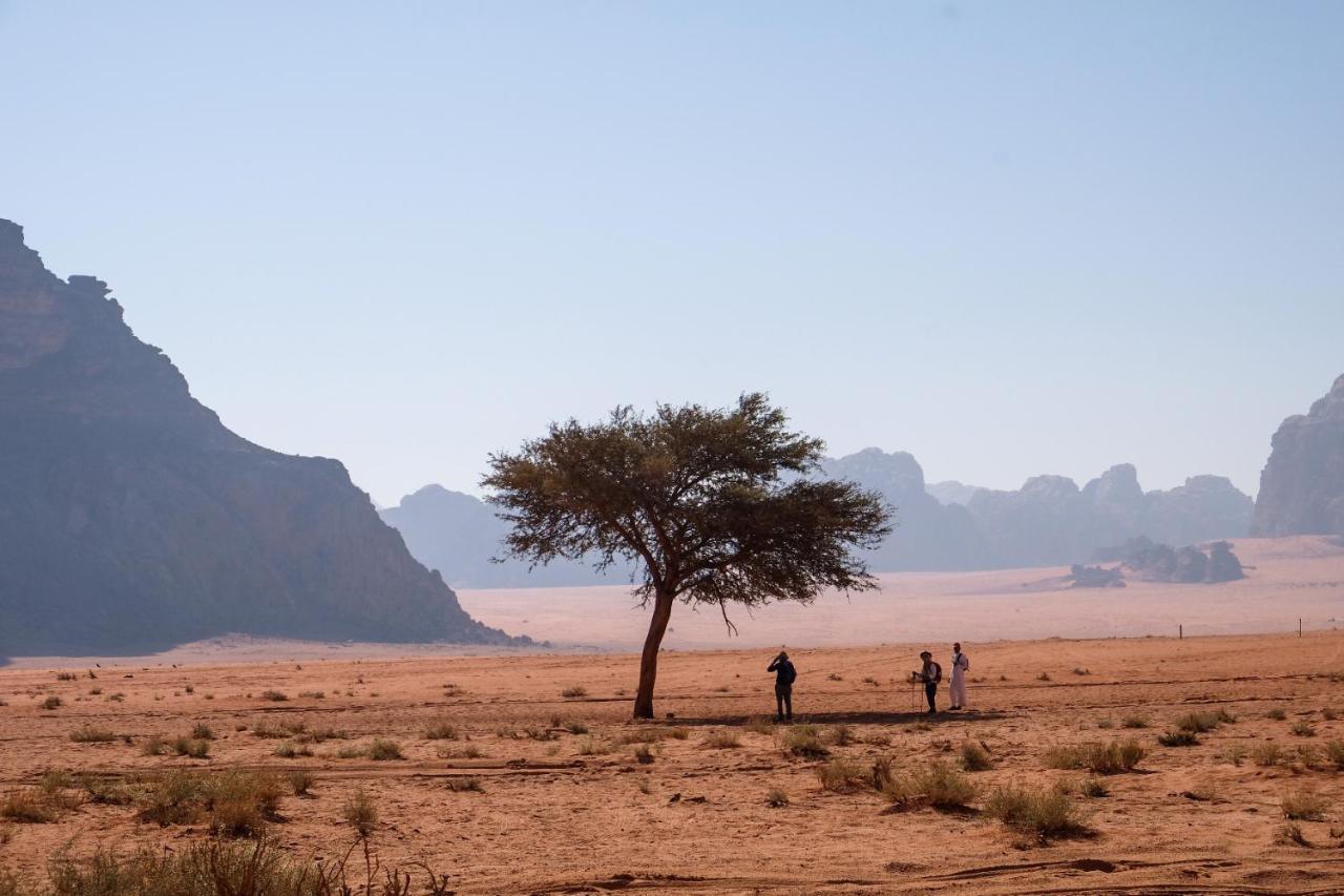 Wadi Rum Bedouin Camp And Desert Tours Exterior foto